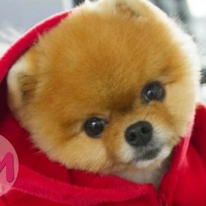 Meet your Posher, Fatima